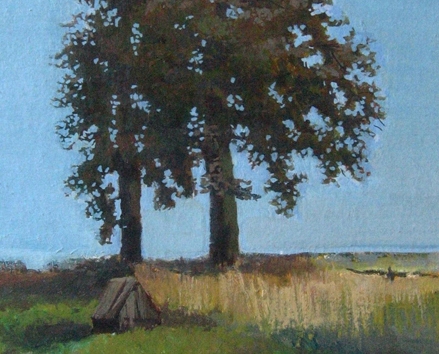 Липы
